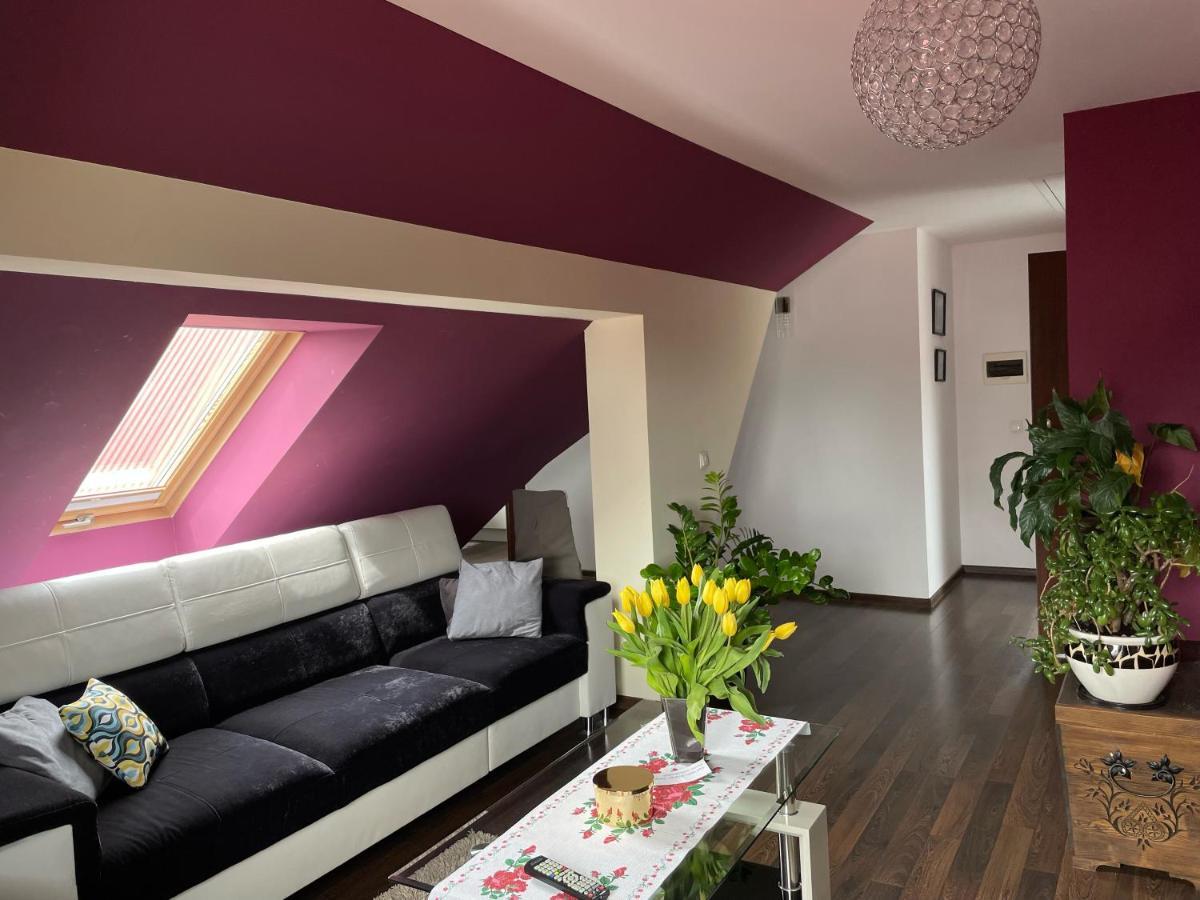 Apartament Podczerwone 黑杜纳耶茨 外观 照片